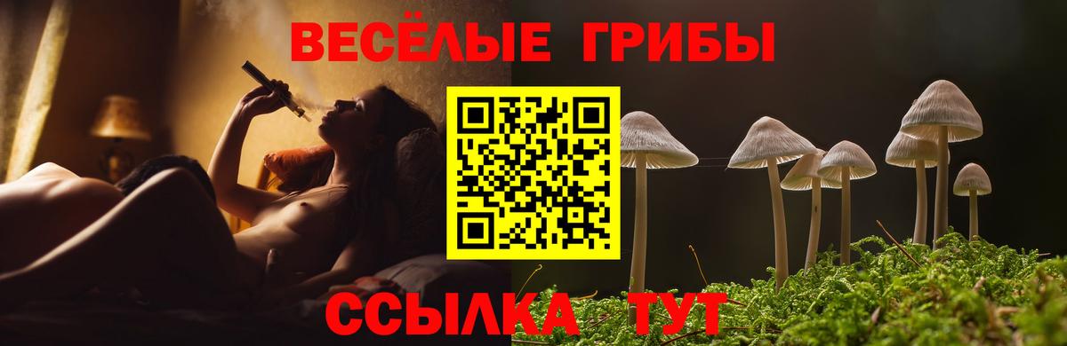 Галлюциногенные грибы Cubensis  Вход с VPN  Норильск 