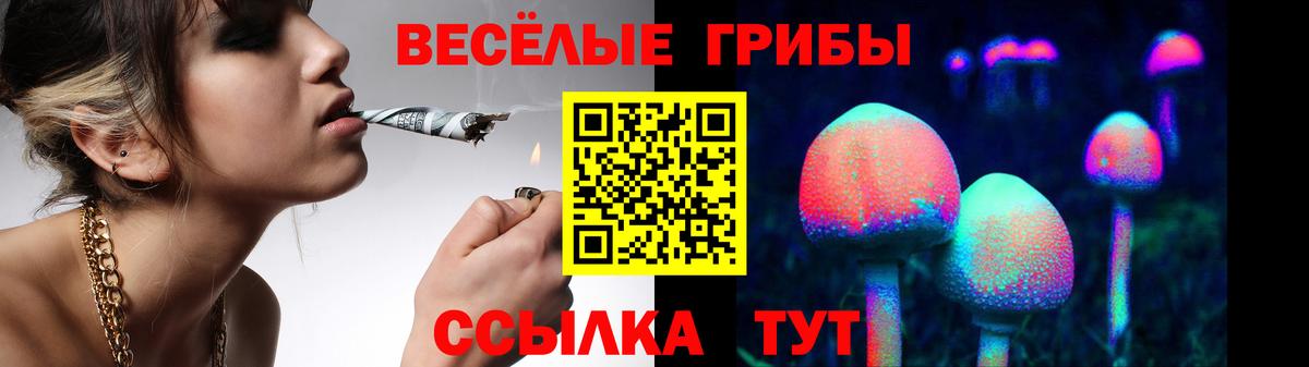 Галлюциногенные грибы GOLDEN TEACHER Норильск